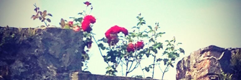 Sílbhe Uí Mórdha (S Moore) banner