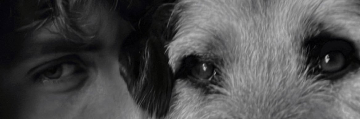 AitorGilM's profile banner image