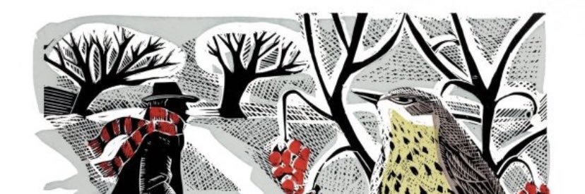 ktto21c's profile banner image