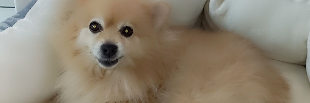 AleMacv's profile banner image