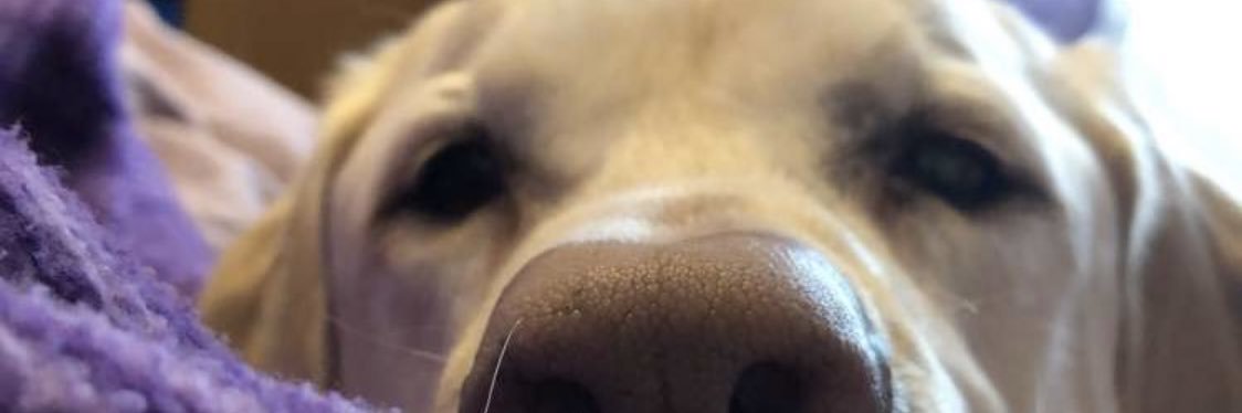 itsnicolee06's profile banner image