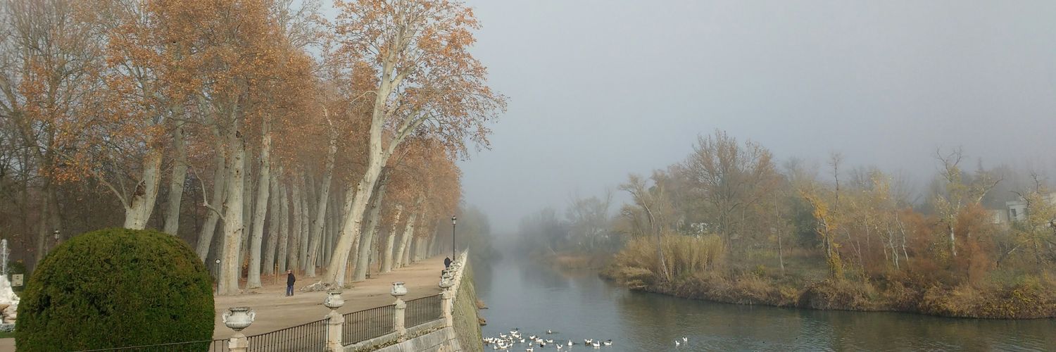SanRodriguez's profile banner image