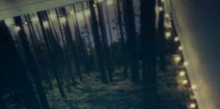 lynn_x194's profile banner image