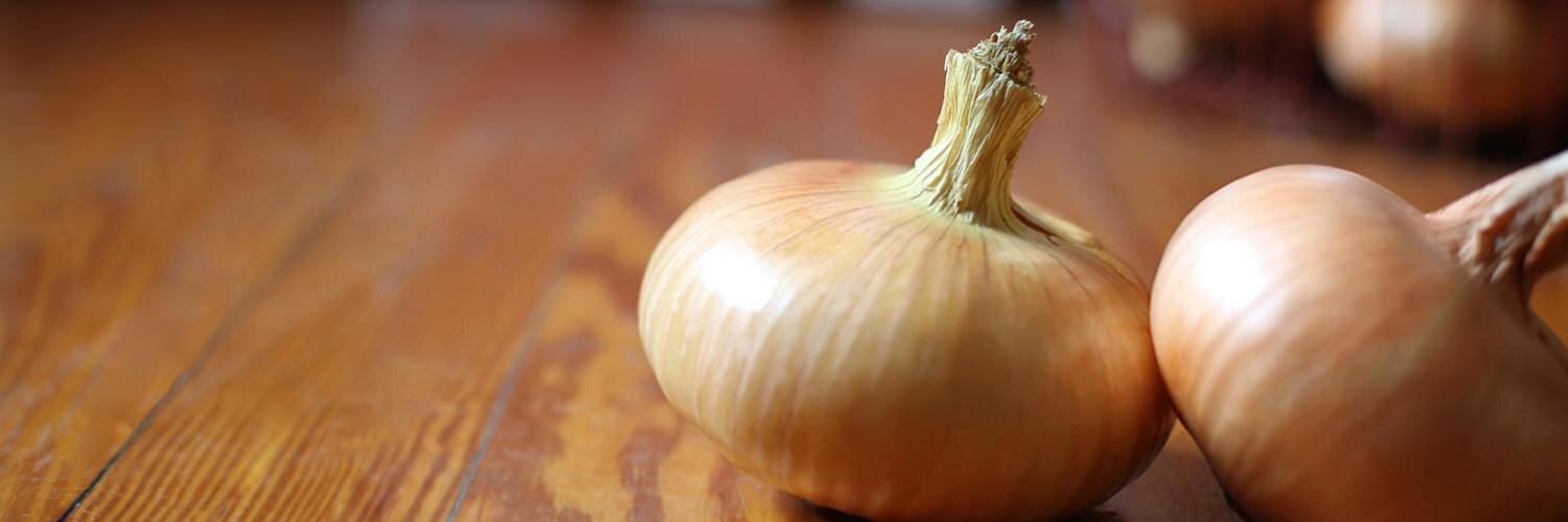 CurryandCompany's profile banner image
