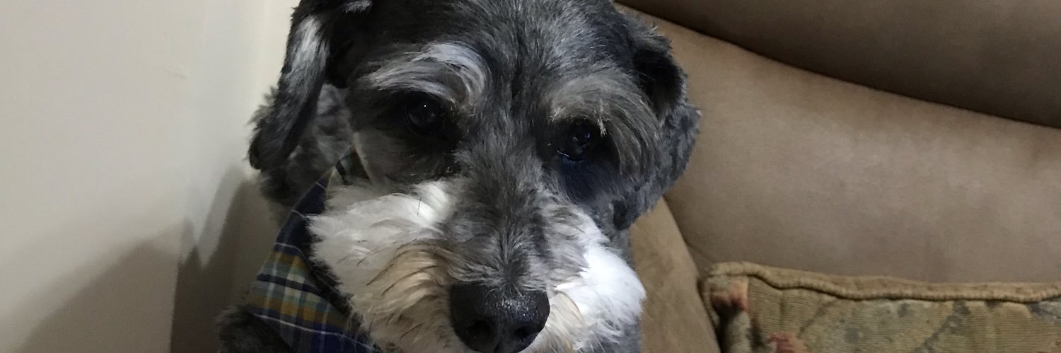 Cookie_Boris's profile banner image
