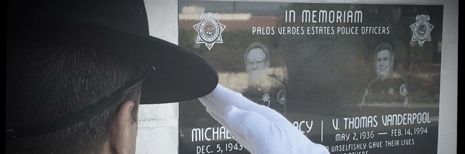 PVEPD's profile banner image