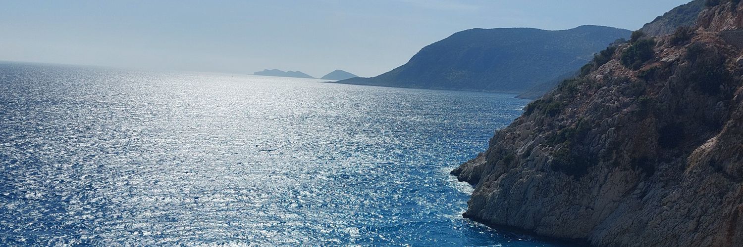 🐴🌎⚽️ Steph banner