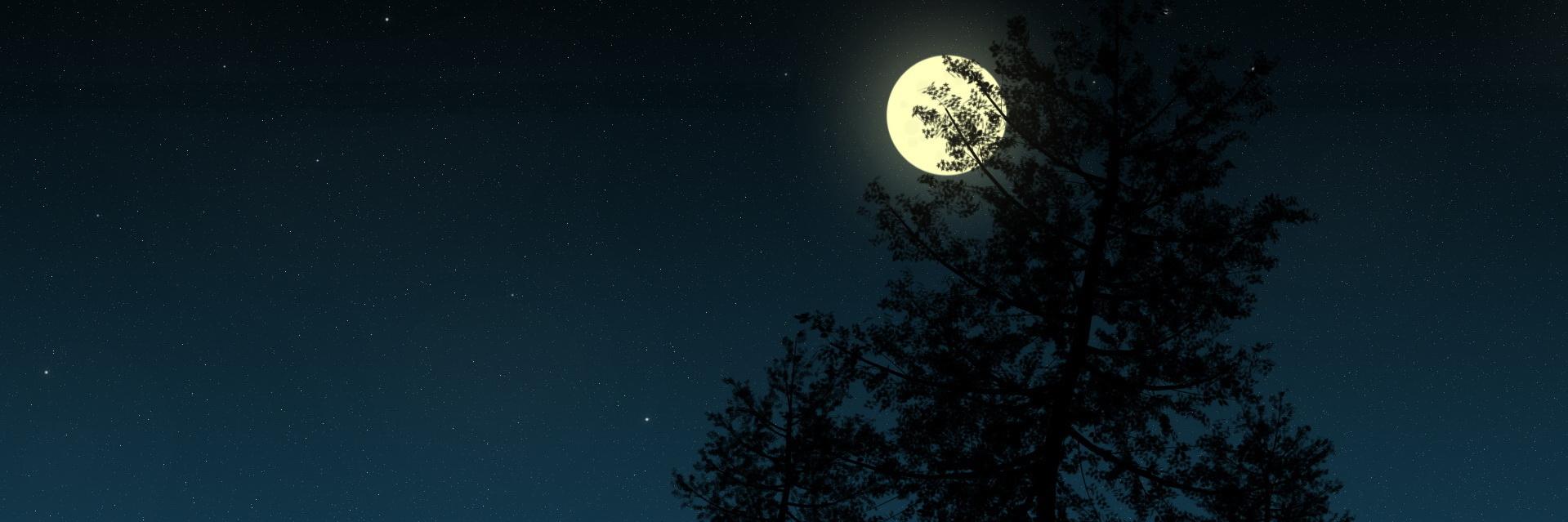 Qultio's profile banner image