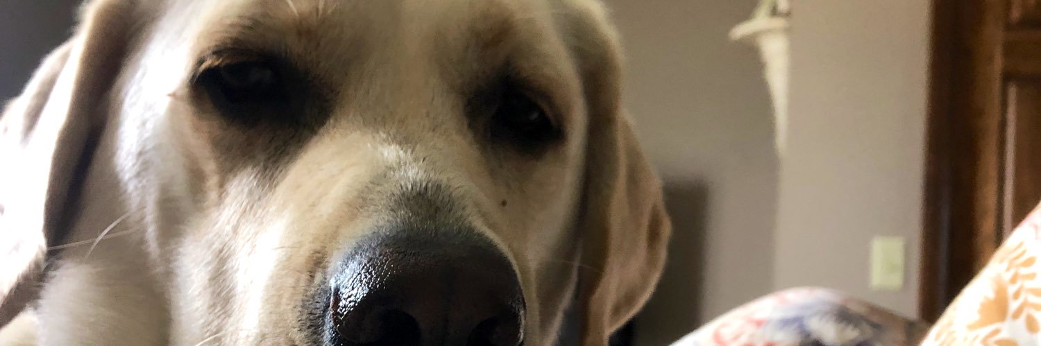 SamConradiii's profile banner image