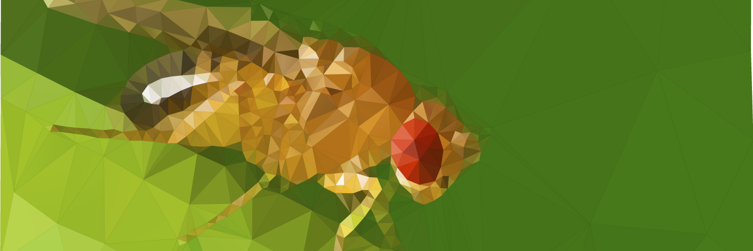 Erin Sanders, Ph.D. banner