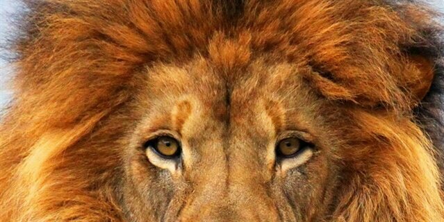 BCarp52's profile banner image