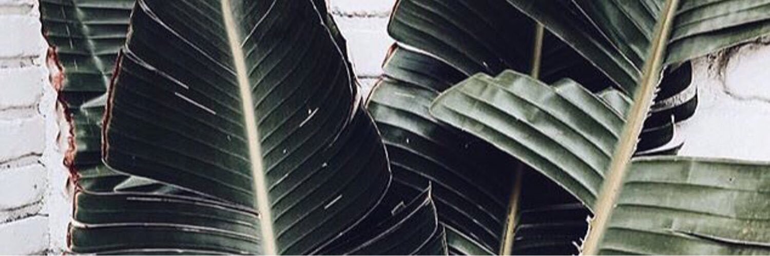 critter_marie's profile banner image