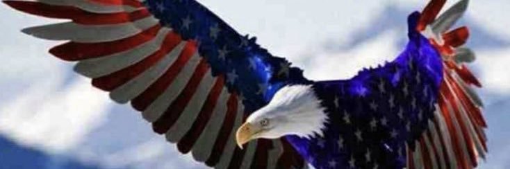 🇺🇸 PATRIOT AMERICAN HILLBILLY 🇺🇸 banner