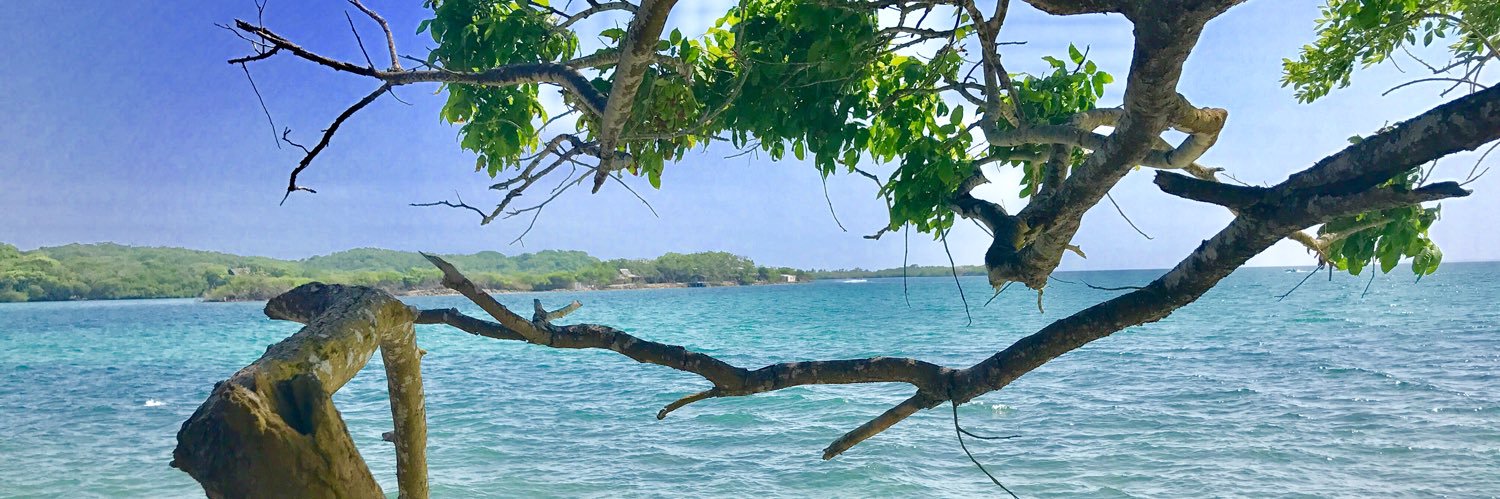 LuciaMarulanda's profile banner image