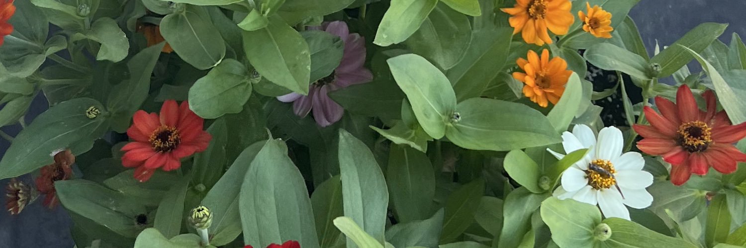 popcornphillips's profile banner image