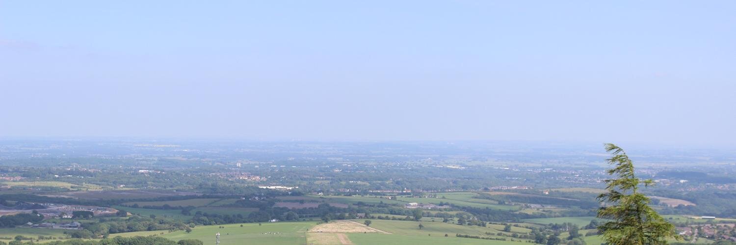 mustardbees's profile banner image