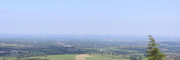 mustardbees Profile Banner