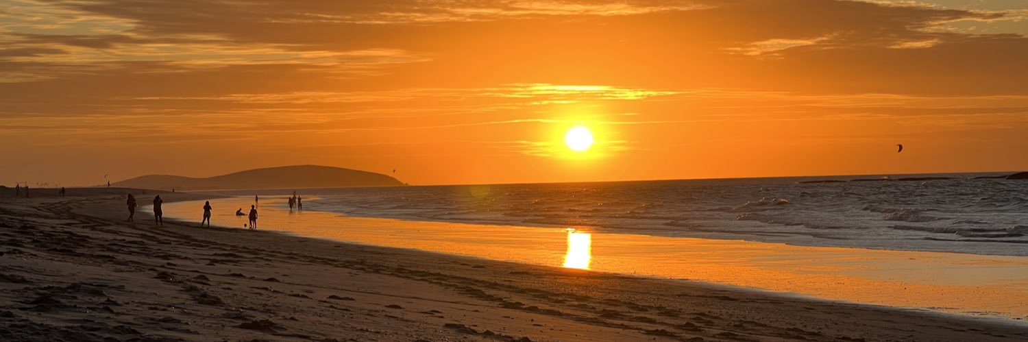 claudia pinheiro banner