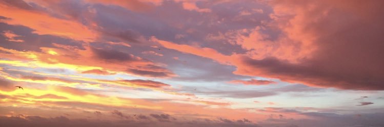 robynjadestone's profile banner image
