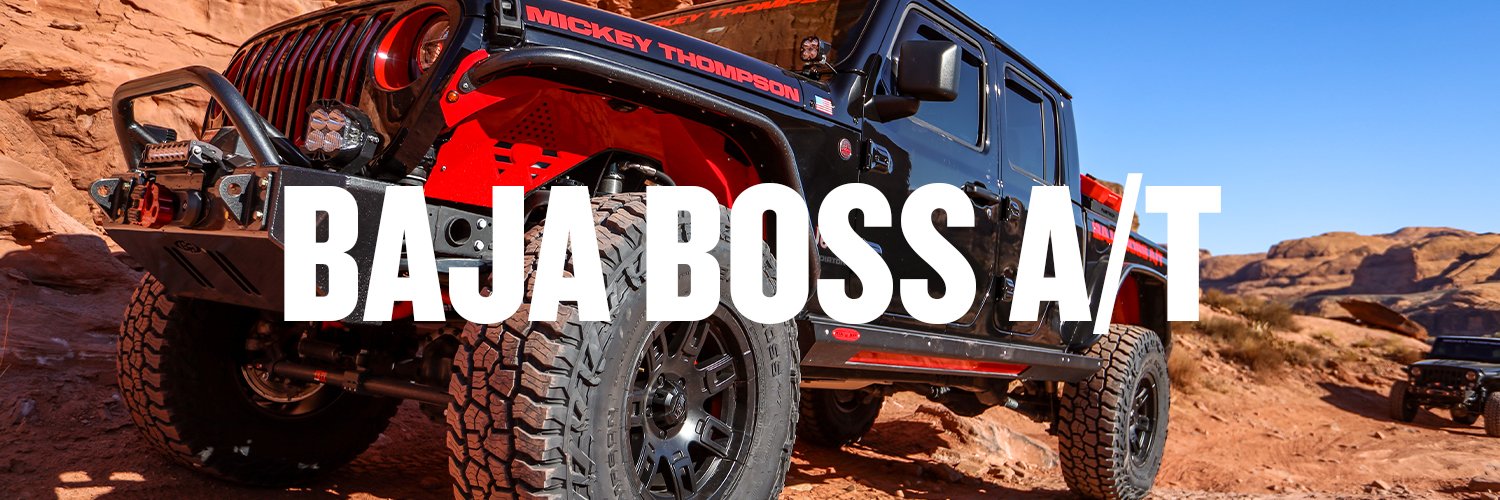 MickeyThompsonTires banner