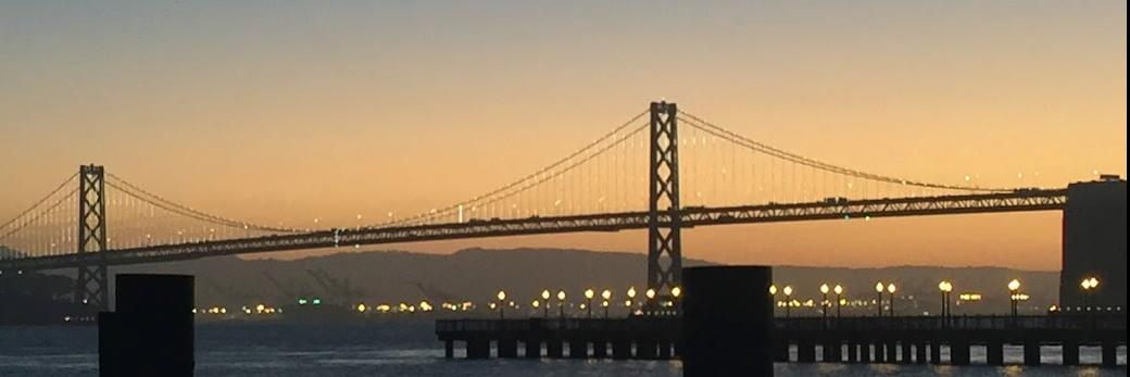 Devorah Merling banner