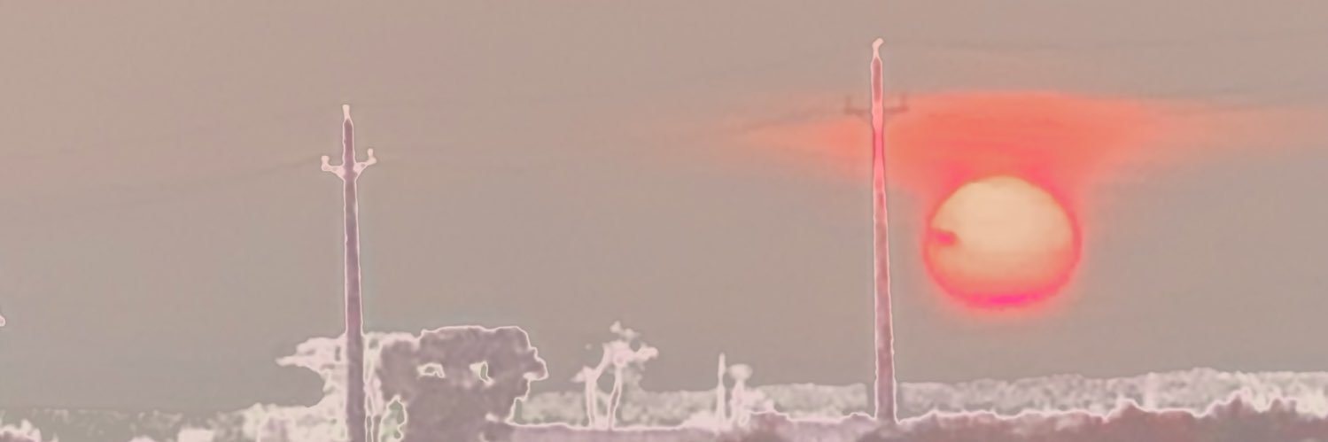 Rasaa banner