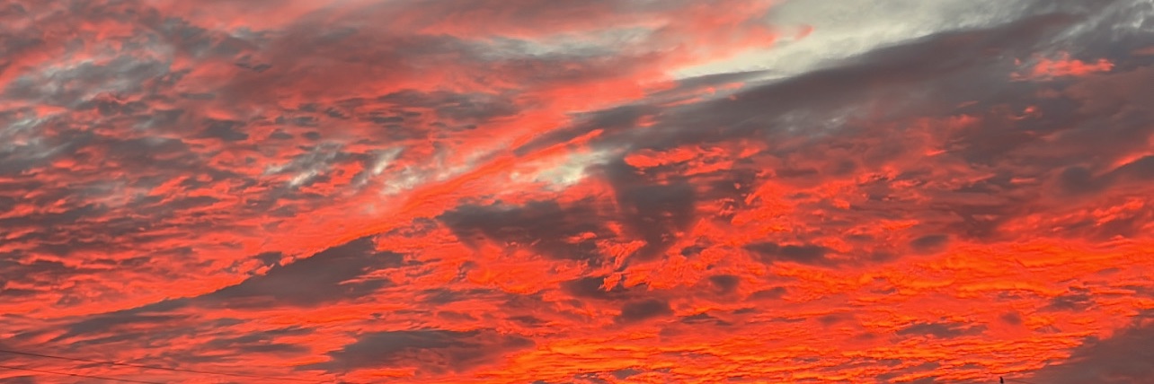 Fermi’s Paradox ✊🏾🪬 banner