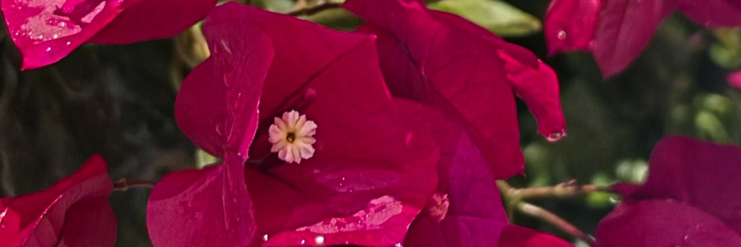 karla_dilah's profile banner image
