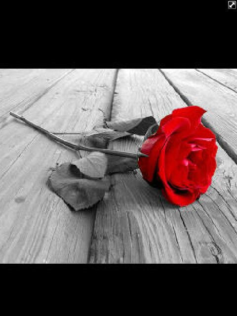 khokh55's profile banner image