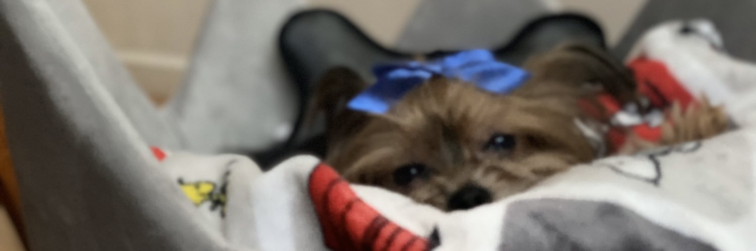 lvkrls's profile banner image