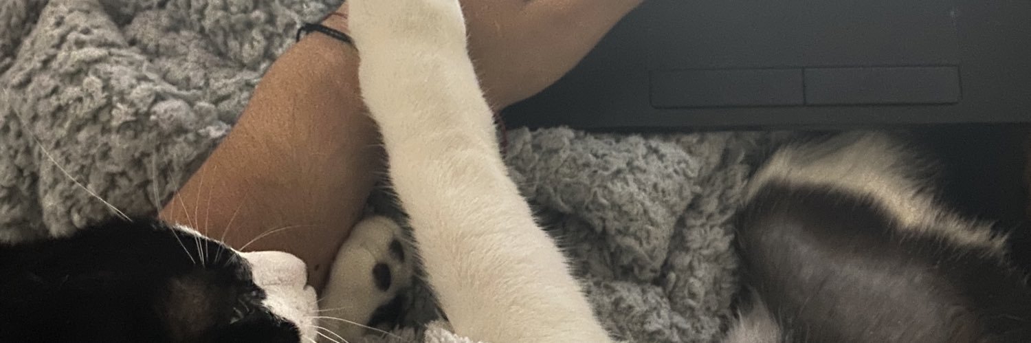 Lola banner