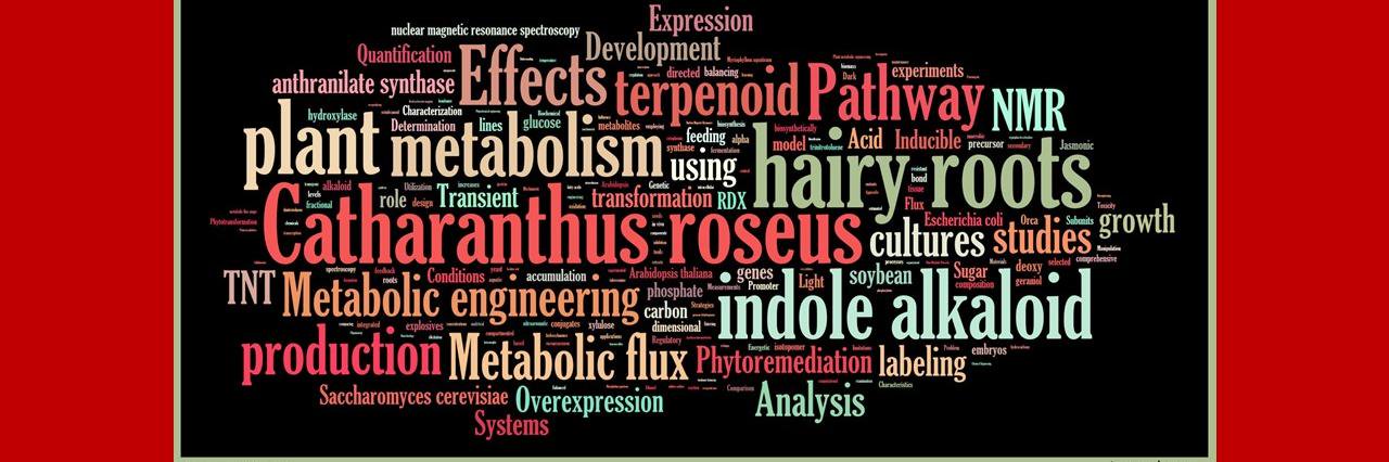 J Vanni Shanks banner