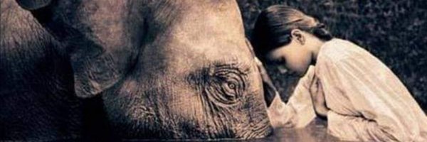 joannatodd64 Profile Banner