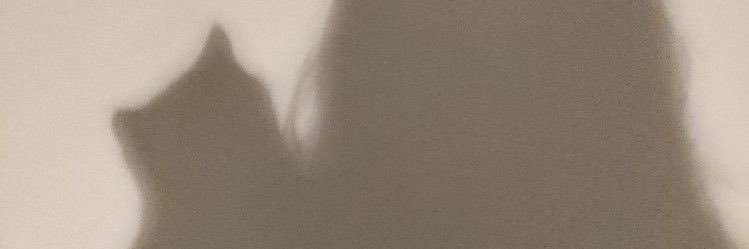MelBeingMelo's profile banner image