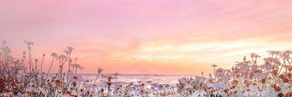 XAllls_243's profile banner image