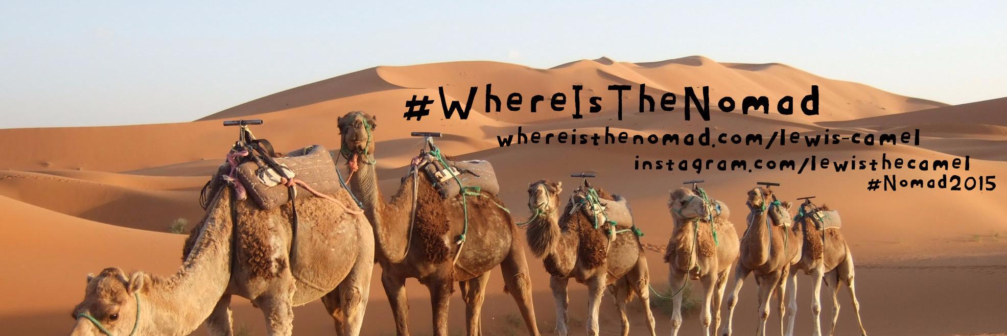 LewistheCamel's profile banner image
