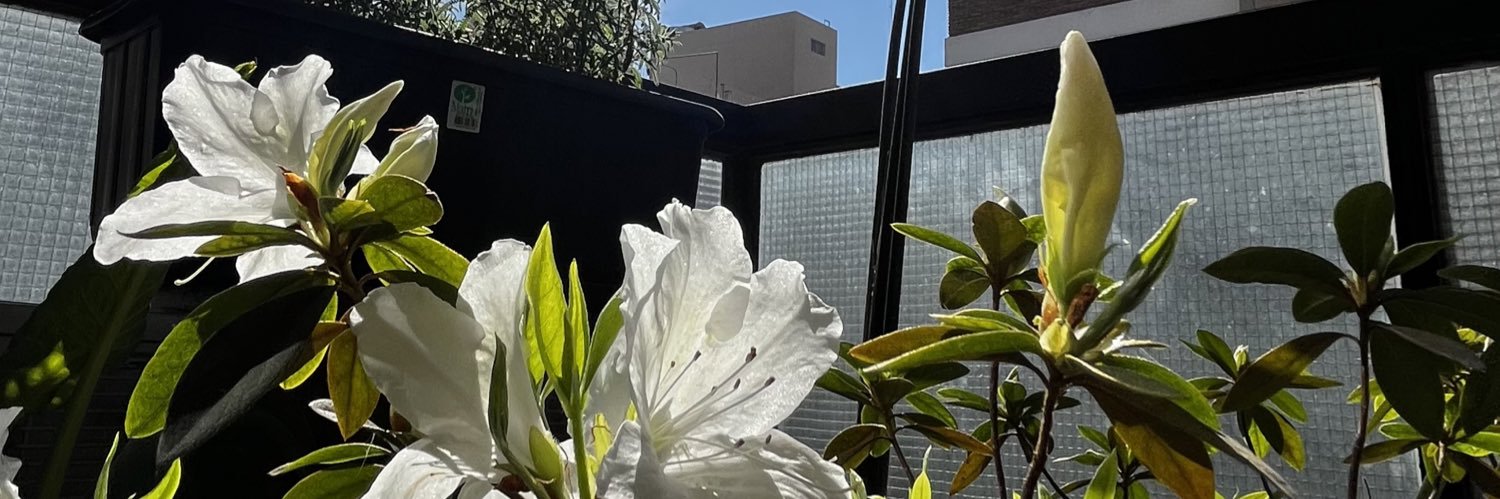 matbacque's profile banner image