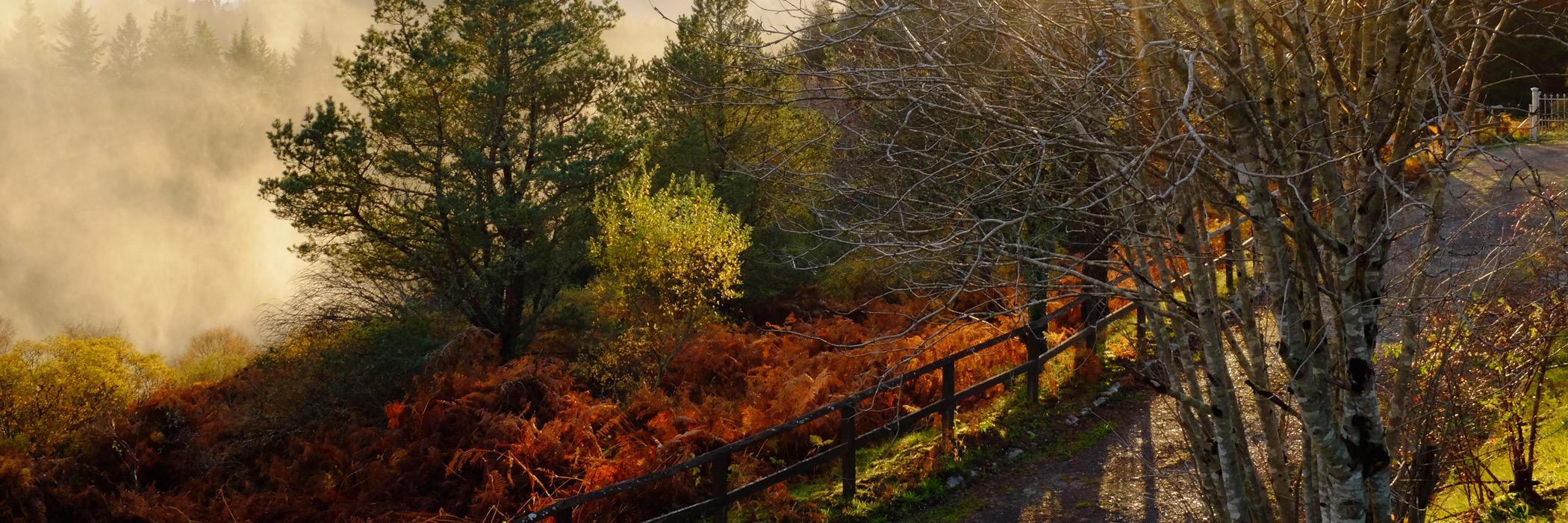 wesleyth's profile banner image