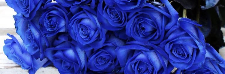 Mayreeh_'s profile banner image