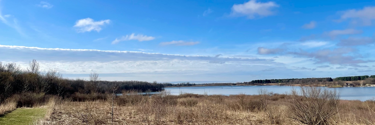 John Anderson banner