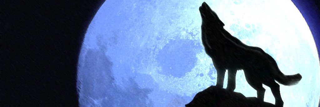 Bredhead01's profile banner image