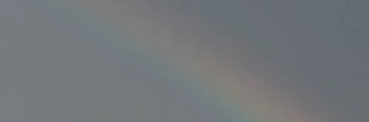 dapimed's profile banner image