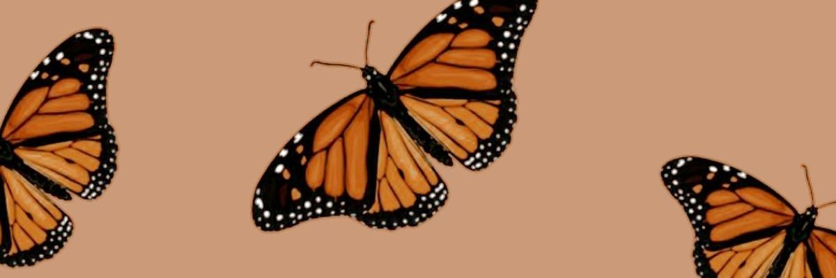 SmileXVll's profile banner image