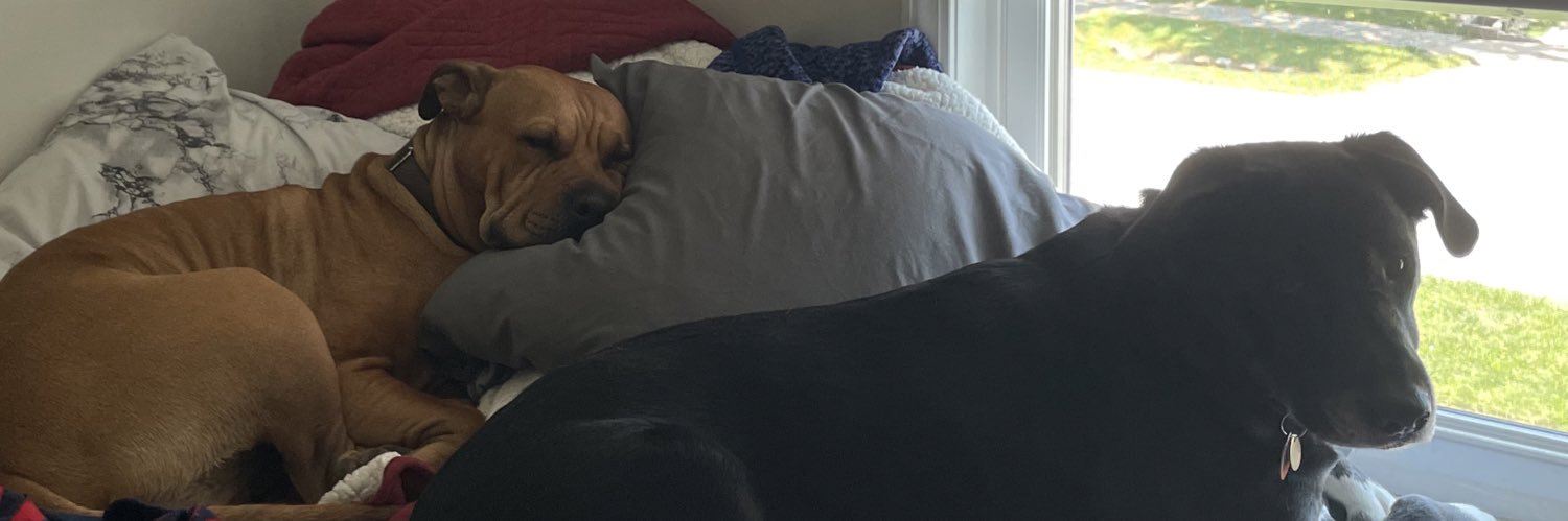 daniiiiphantom_'s profile banner image