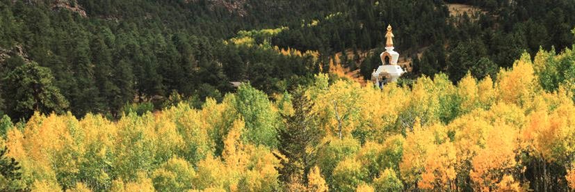 ShambhalaMC's profile banner image