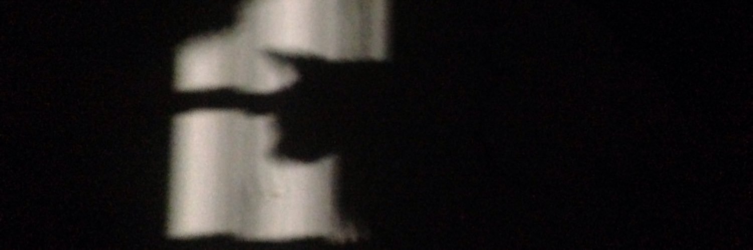 Fr4nklinGnr's profile banner image
