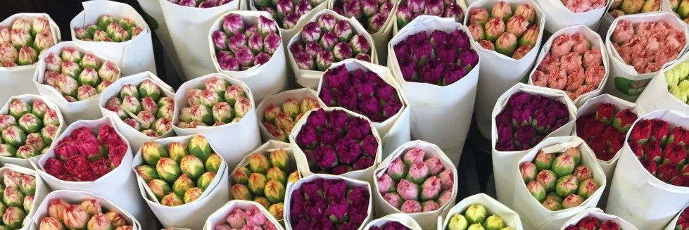 Stephanie Atlan banner