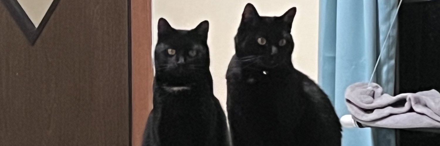 CarderGrace's profile banner image