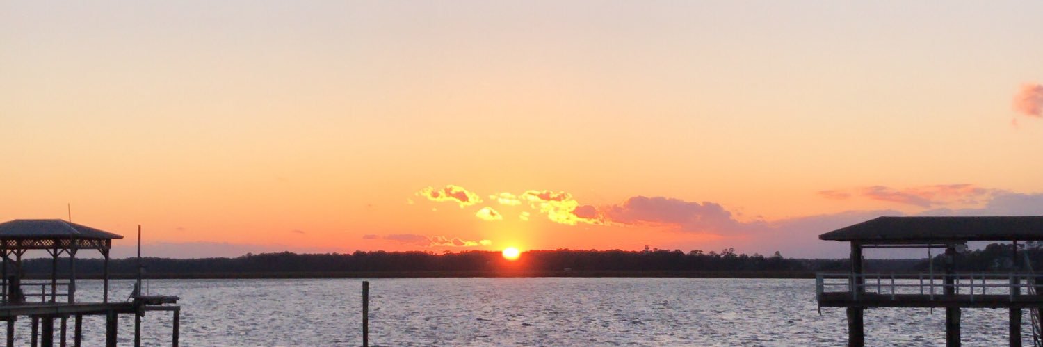 lsuscott14's profile banner image