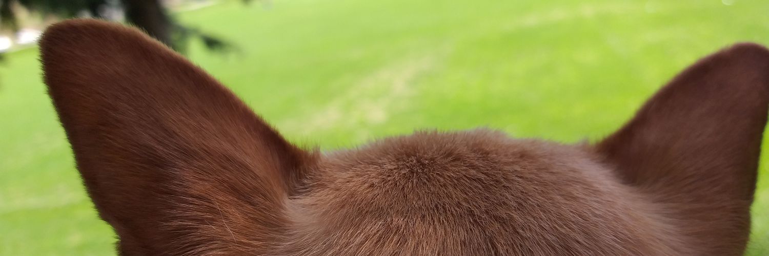 Ger_am56's profile banner image